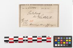 Etiketten zu Bronzegürtelblech (NHMW-PRAE-023805)